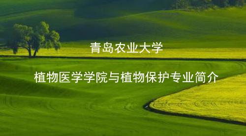 青岛农业大学植物保护专业介绍